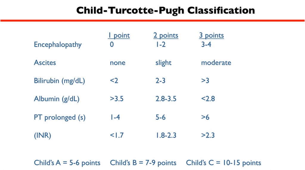 Chil_Turcotte-Pugh Scale